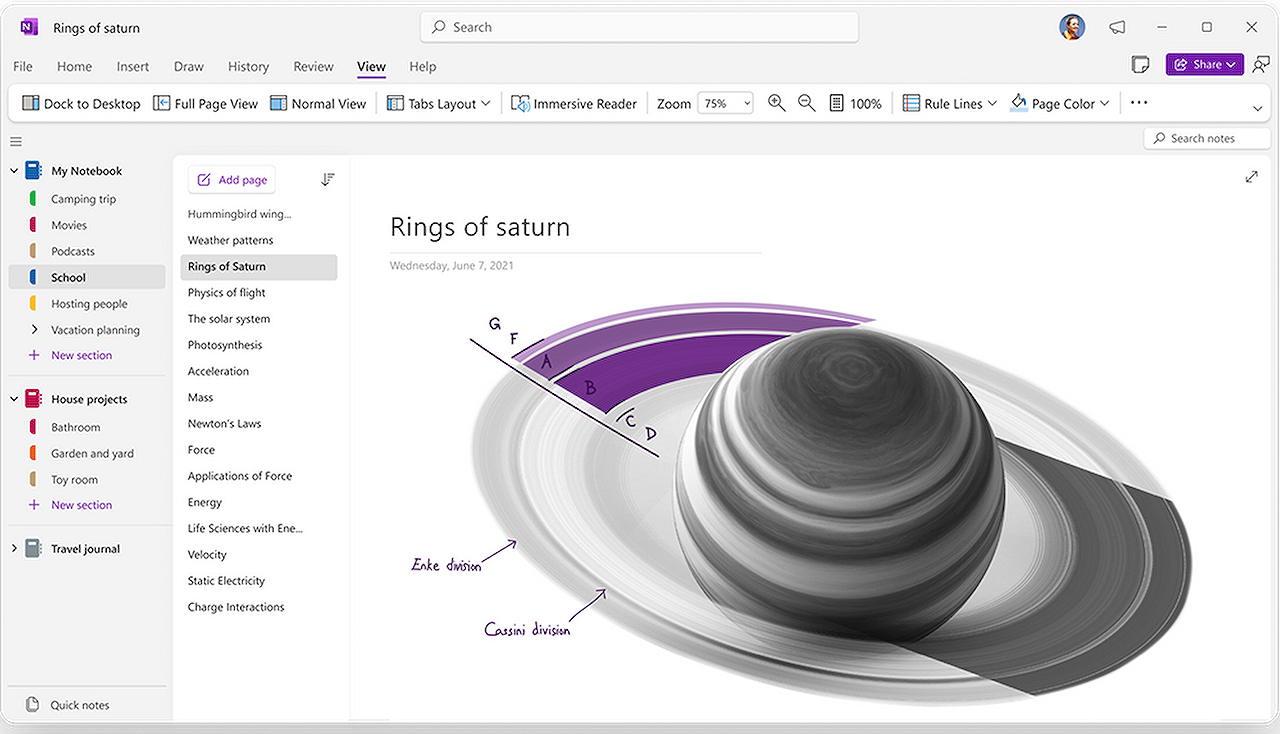 New OneNote Layout Features for Windows: A Preview