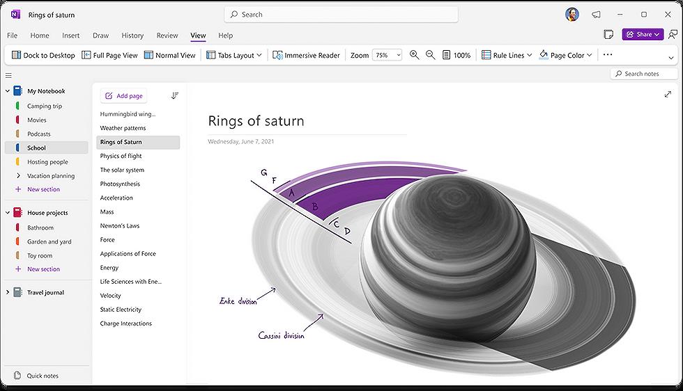New Layout Options for OneNote on Windows are coming