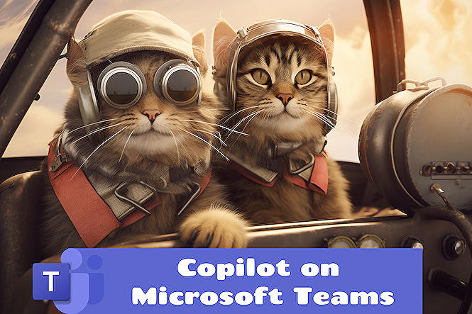 Copilot on Microsoft Teams (for Dev)