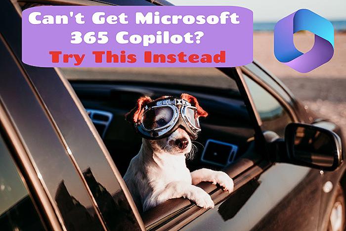 Microsoft Copilot - Alternatives to Microsoft 365 Copilot: Effective Solutions